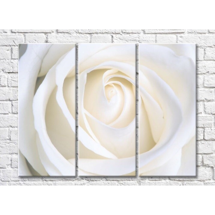 Картина Rainbow Cream Rose Petals (500429)