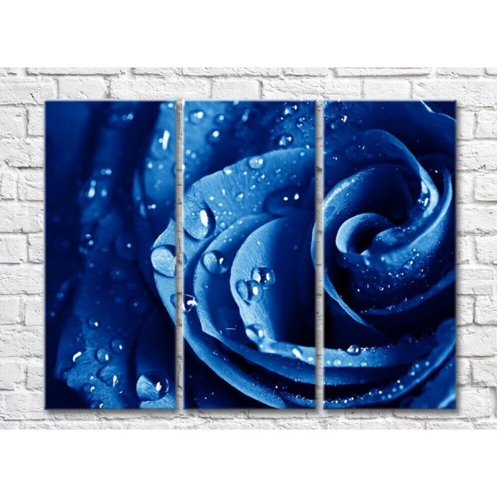 Картина Rainbow Large blue rose petals with dew drops (500377)