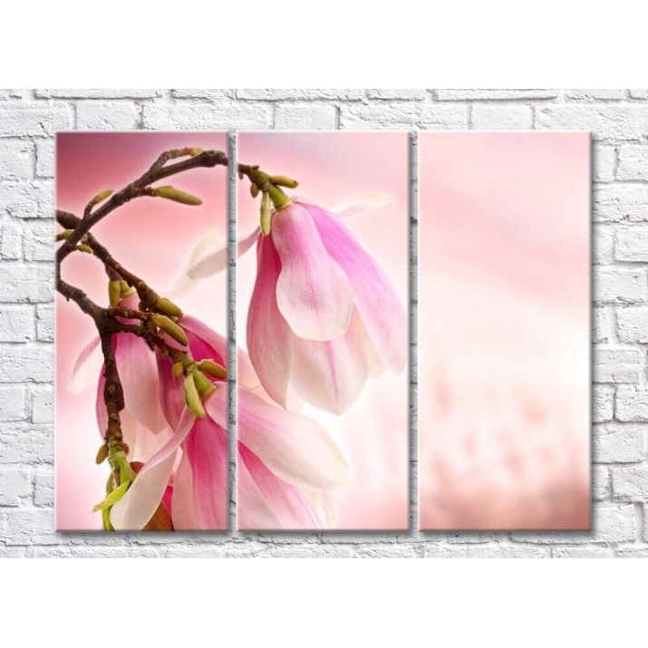 Pictură Rainbow Large pink magnolia flowers on a branch (500391)