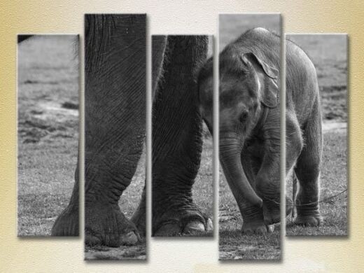 Pictură Rainbow Polyptych Baby Elephant (2224625)