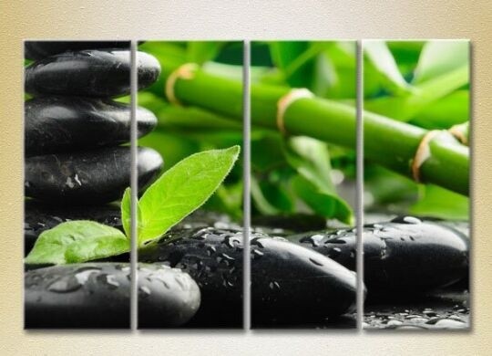 Картина Rainbow Polyptych Bamboo and Massage Stones 01 (2932263)