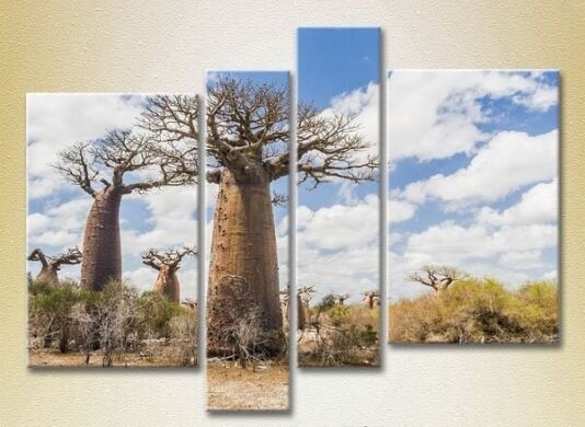 Pictură Rainbow Polyptych Baobabs in the savannah (2223687)