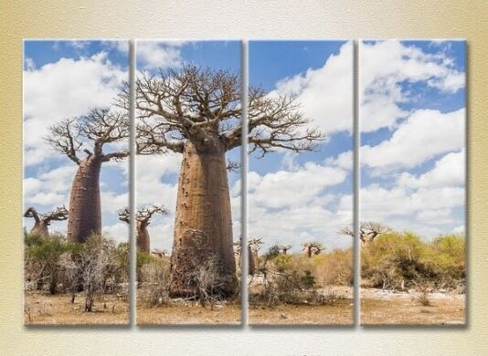 Pictură Rainbow Polyptych Baobabs in the Savannah 02 (2223670)