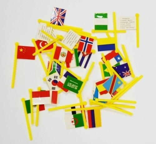Карта мира Edujoc Map with Flags (TT4097)