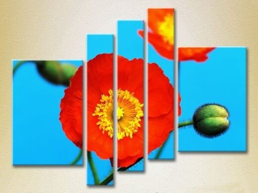 Pictură Rainbow Polyptych Blooming Poppy 03 (2932869)