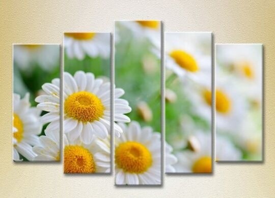 Картина Rainbow Polyptych Bouquet of daisies 04 (2932799)