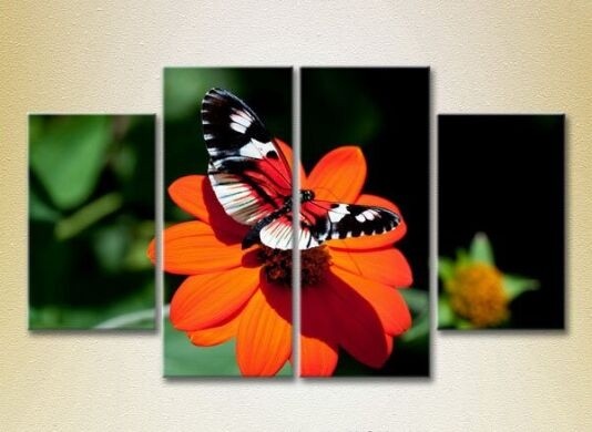 Картина Rainbow Polyptych Butterfly on a Flower 03 (2222237)