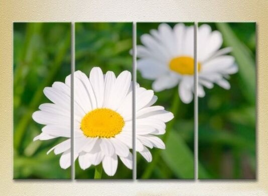 Картина Rainbow Polyptych Chamomile 04 (2932354)