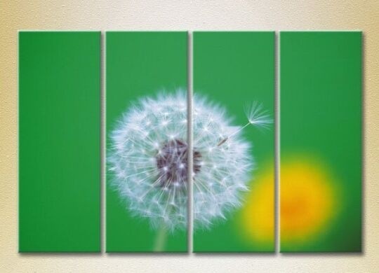 Картина Rainbow Polyptych Dandelion on a green background 01 (2932318)