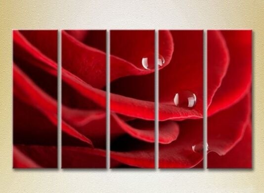 Pictură Rainbow Polyptych Drops on a red rose 03 (2932832)