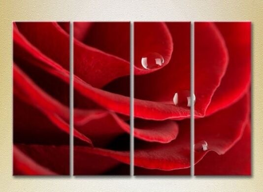 Pictură Rainbow Polyptych Drops on a red rose 05 (2932287)