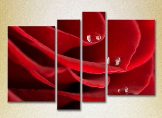 Pictură Rainbow Polyptych Drops on a red rose 07 (2932288)
