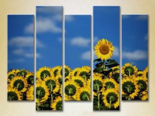 Картина Rainbow Polyptych Field of Sunflowers 03 (2932858)