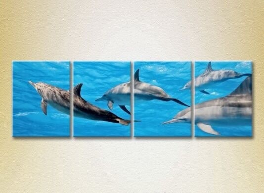 Картина Rainbow Polyptych Flock of Dolphins 01 (2222245)