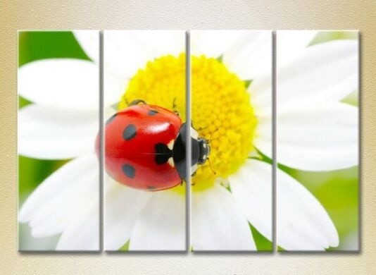 Pictură Rainbow Polyptych Ladybug on a camomile (2222241)