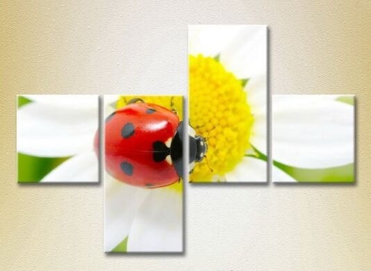 Pictură Rainbow Polyptych Ladybug on a camomile 02 (2222217)