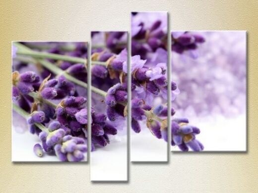 Картина Rainbow Polyptych Lavender (2932300)
