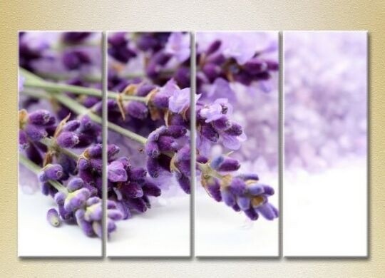 Картина Rainbow Polyptych Lavender 01 (2932301)