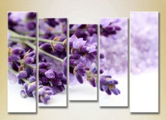 Pictură Rainbow Polyptych Lavender 04 (2932827)