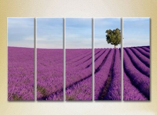 Картина Rainbow Polyptych Lavender field with tree 03 (2224814)