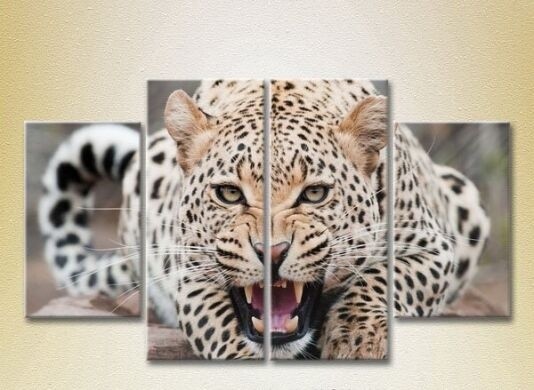 Картина Rainbow Polyptych Leopard (2222227)