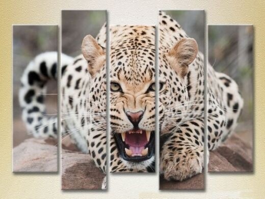 Картина Rainbow Polyptych Leopard 03 (2224643)