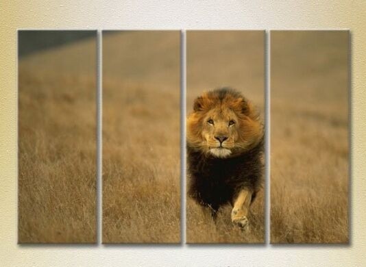Pictură Rainbow Polyptych Lion Hunting 01 (2222226)