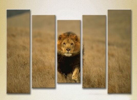 Картина Rainbow Polyptych Lion Hunting 03 (2224630)