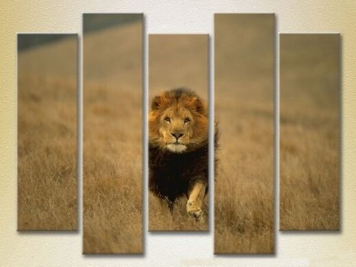 Pictură Rainbow Polyptych Lion Hunting 04 (2224631)