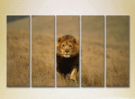 Pictură Rainbow Polyptych Lion Hunting 05 (2224645)