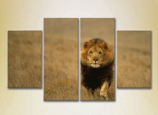 Pictură Rainbow Polyptych Lion hunts (2222225)