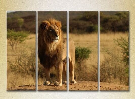 Картина Rainbow Polyptych Lion on a hillock (2222223)
