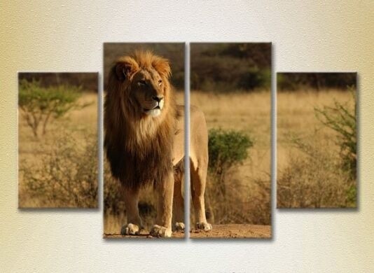Pictură Rainbow Polyptych Lion on a hillock 01 (2222224)