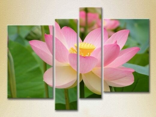 Картина Rainbow Polyptych Lotus pink 02 (2932326)