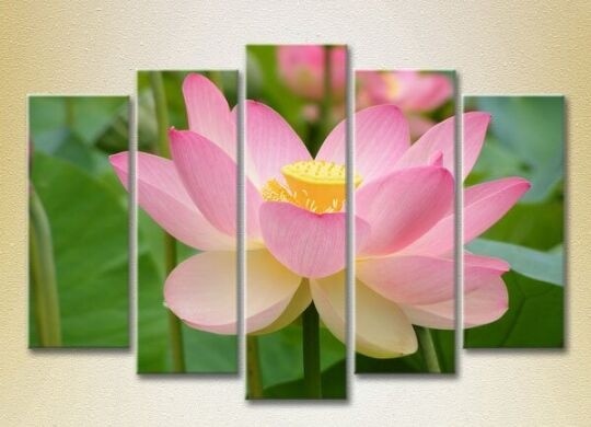 Картина Rainbow Polyptych Lotus pink 05 (2932831)