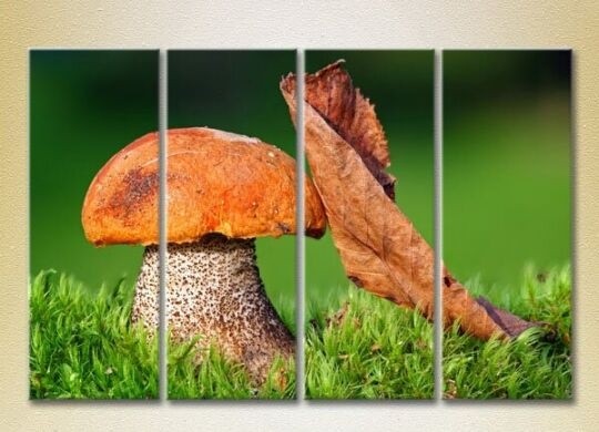 Картина Rainbow Polyptych Mushroom and leaf (2932276)
