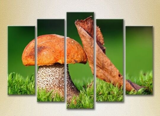Pictură Rainbow Polyptych Mushroom and leaf 02 (2932805)