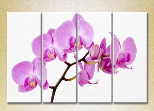 Картина Rainbow Polyptych Orchids lilac 01 (2932327)