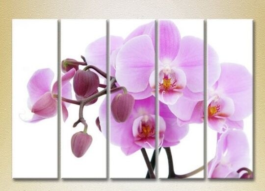 Картина Rainbow Polyptych Orchids lilac with buds 03 (2932847)