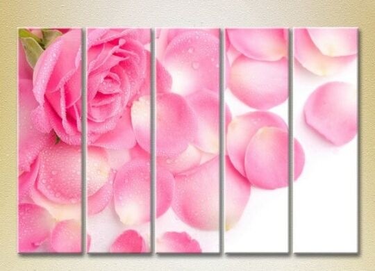 Картина Rainbow Polyptych Pink Rose and Petals 02 (2932873)