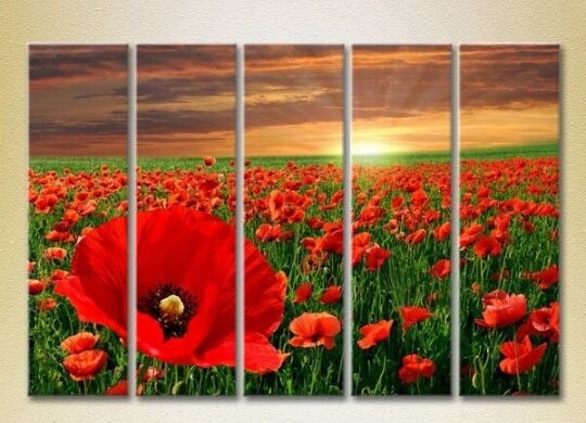 Pictură Rainbow Polyptych Poppy Field 03 (2932838)
