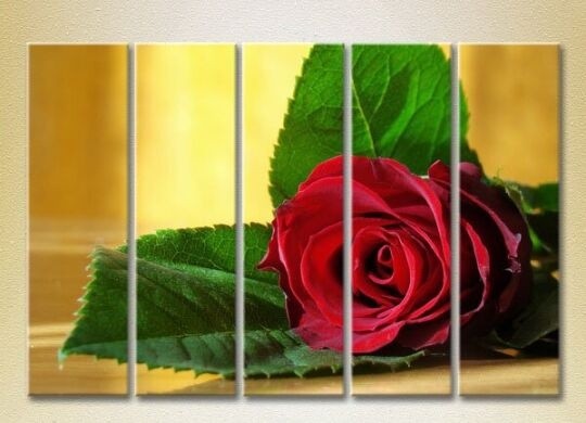 Pictură Rainbow Polyptych Red Rose 02 (2932822)