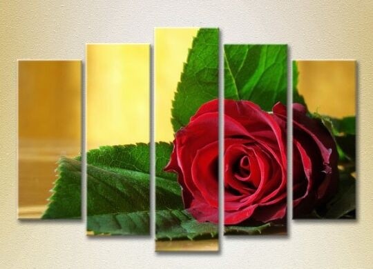 Картина Rainbow Polyptych Red Rose 03 (2932823)