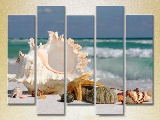 Картина Rainbow Polyptych Seashells 04 (2224776)