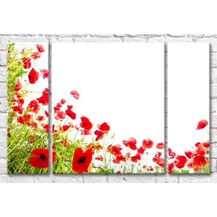 Pictură Gallerix A scattering of red poppies on a white background (500638)