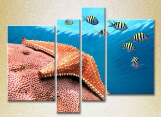 Pictură Rainbow Polyptych Starfish at a depth (2223401)