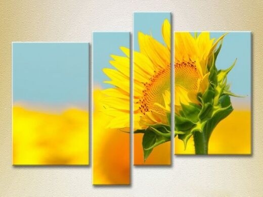 Картина Rainbow Polyptych Sunflower 01 (2932333)