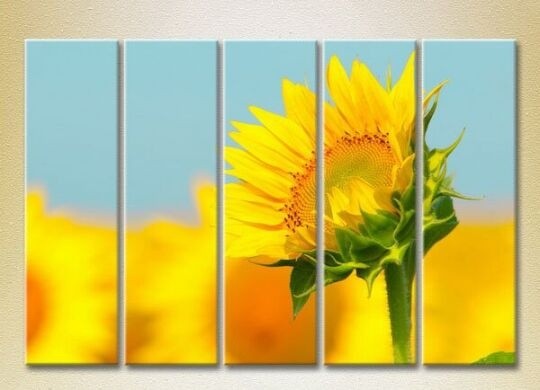 Картина Rainbow Polyptych Sunflower 04 (2932856)