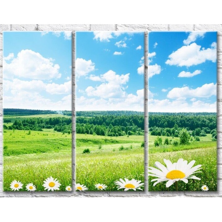 Pictură Gallerix Chamomile flowers on the background of fields and forests (500776)