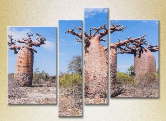 Картина Rainbow Polyptych Three baobabs (2223689)